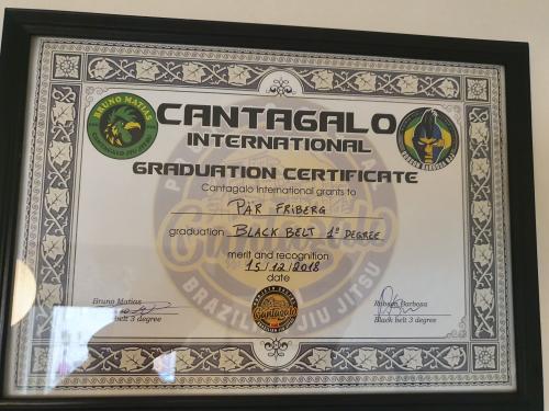 Black belt · May 5, 2015 · Promoted by Bruno Matias