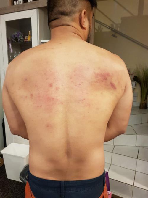 Brown belt · September 22, 2018 · Promoted by Henry Navorra
