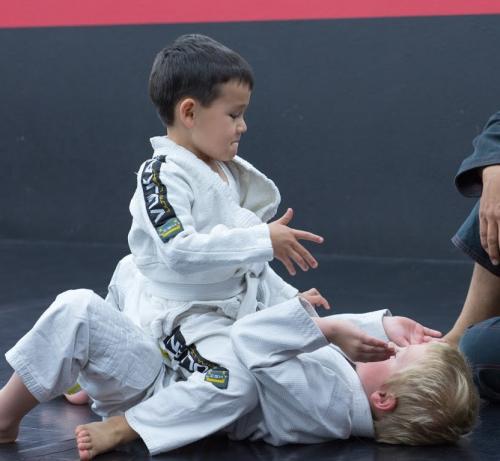 White belt · February 1, 2013