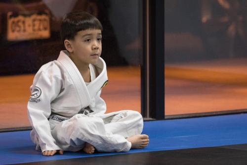 Gray belt · September 23, 2016 · Promoted by Shawn Portela
