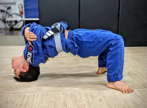 Gray belt · September 23, 2016 · Promoted by Shawn Portela