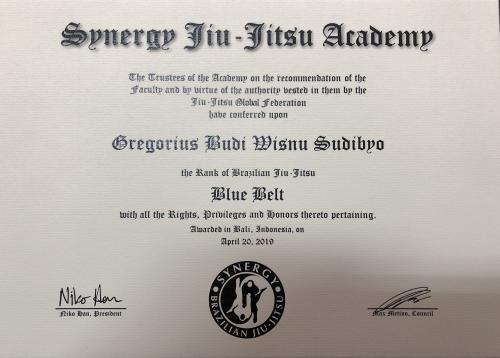 Blue belt · April 20, 2019 · Promoted by Niko Han