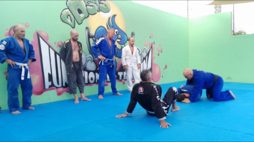 Blue belt · January 14, 2017 · Promoted by Pedro schmall