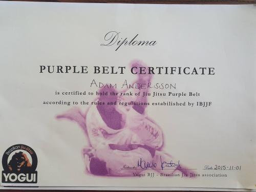 Purple belt · November 1, 2015 · Promoted by Marcelo Yogui