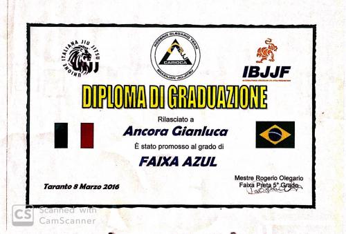 Blue belt · March 8, 2016 · Promoted by Rogerio Olegario