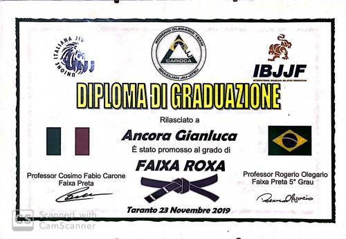 Purple belt · November 23, 2019 · Promoted by Rogerio Olegario