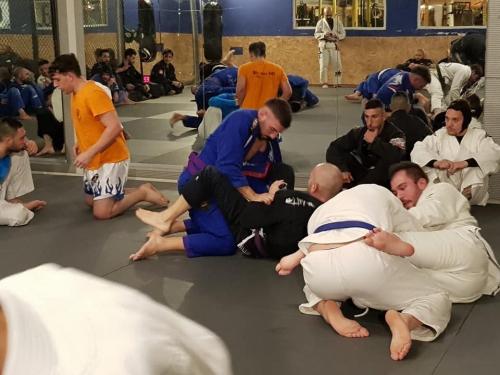 Purple belt · November 23, 2019 · Promoted by Rogerio Olegario