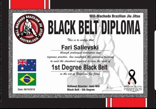 Black belt 1st degree · October 6, 2018 · Promoted by John B Will