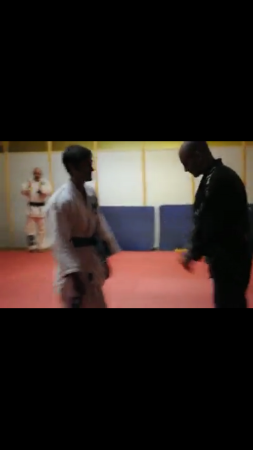 Blue belt · June 14, 2010 · Promoted by Bernardo Serrini