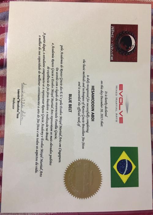 Blue belt · December 20, 2015 · Promoted by Leandro Issa
