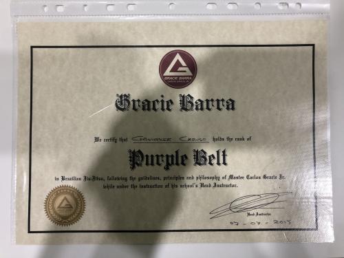 Purple belt · July 7, 2015 · Promoted by Chris Sales