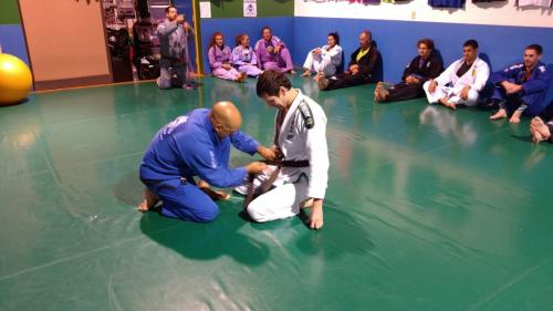 Brown belt · August 21, 2017 · Promoted by Sean Stewart