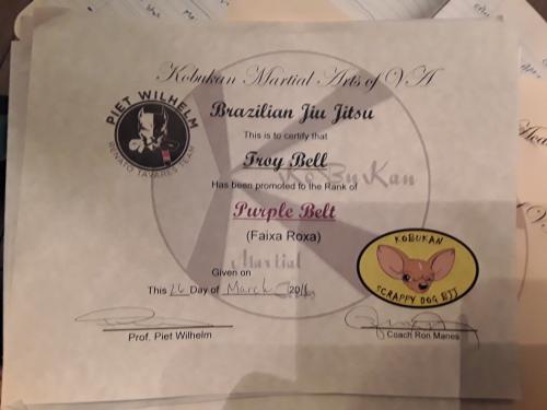 Purple belt · March 26, 2016 · Promoted by Ronald Manes