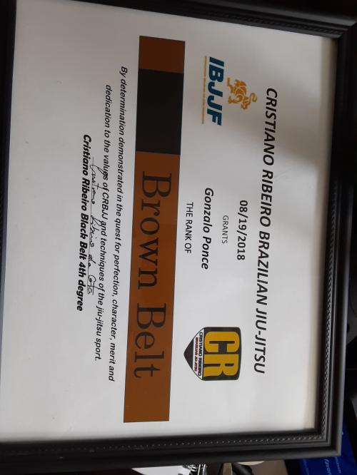 Brown belt · October 19, 2018 · Promoted by Cristiano Ribiero