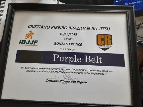 Brown belt · October 19, 2018 · Promoted by Cristiano Ribiero