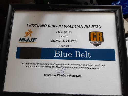 Brown belt · October 19, 2018 · Promoted by Cristiano Ribiero