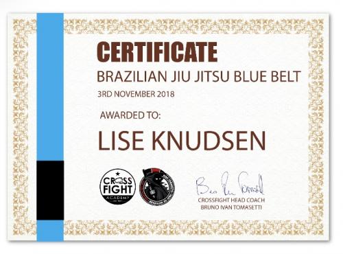 Blue belt · November 3, 2018 · Promoted by Bruno Ivan Tomasetti