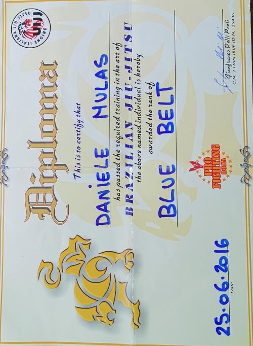 Blue belt · June 25, 2016 · Promoted by Gianfranco Delli Paoli