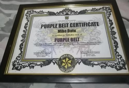 Purple belt · January 7, 2019 · Promoted by Professor Alvin Aguilar