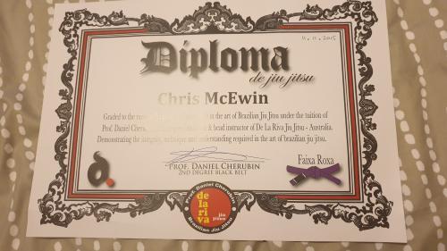 Purple belt · November 11, 2015 · Promoted by Daniel Cherubin