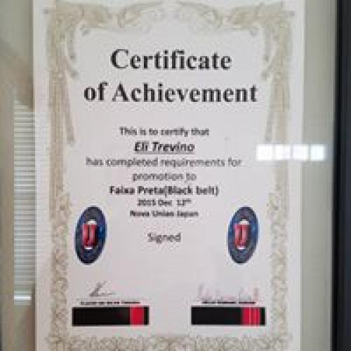 Black belt · December 12, 2015 · Promoted by Helio Damiani jr.