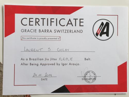 Purple belt · November 29, 2019 · Promoted by Igor Araujo