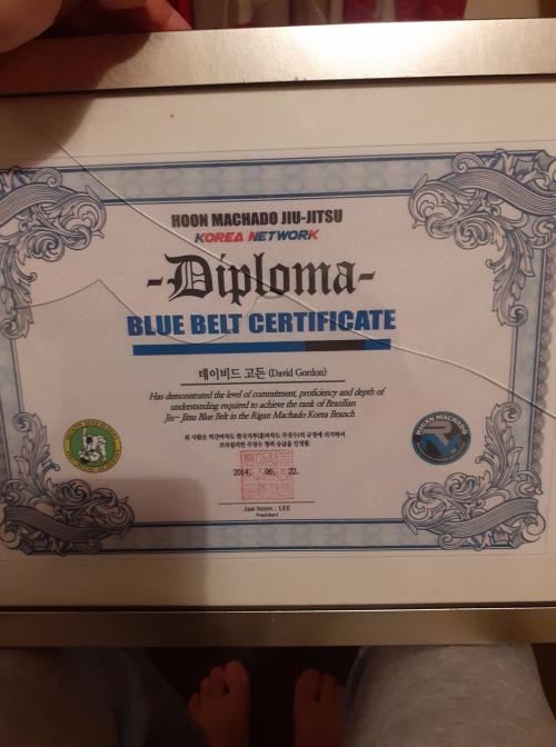 Blue belt · June 22, 2014 · Promoted by Seo BoGuk