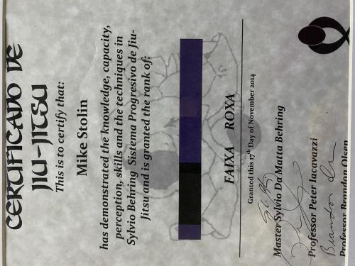 Purple belt · November 17, 2014 · Promoted by Sylvio Behring