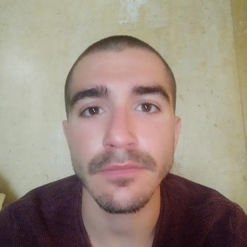 Borna Radetic