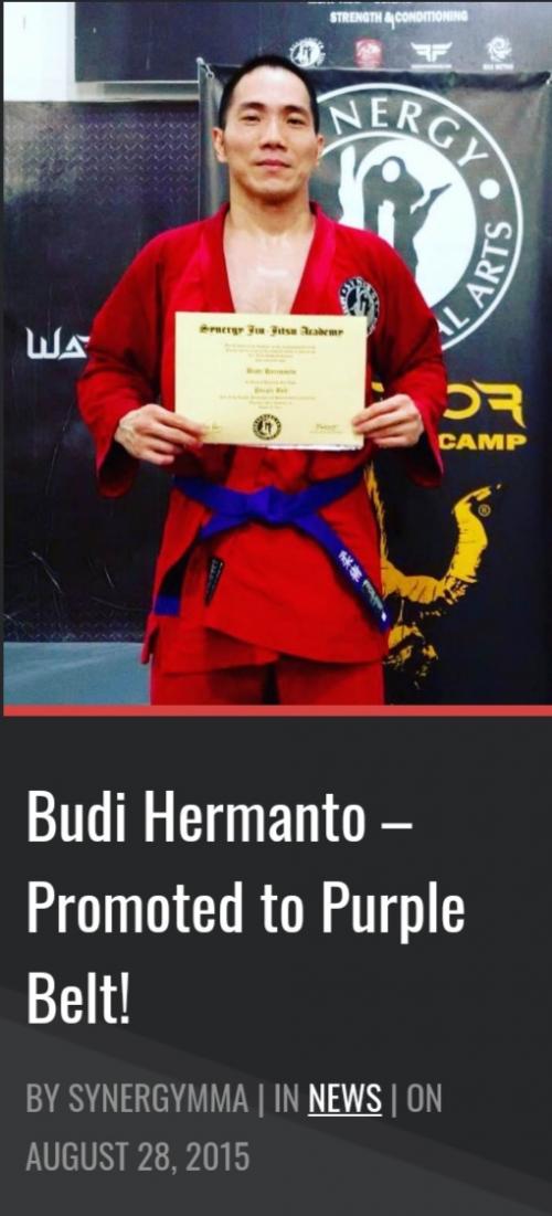 Purple belt · August 28, 2015 · Promoted by Max Metino