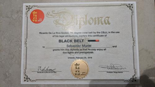 Black belt · February 24, 2018 · Promoted by Thiago Domingues