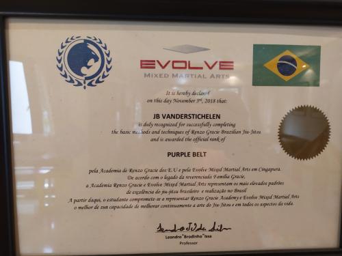 Purple belt · November 3, 2018 · Promoted by Leandro Issa