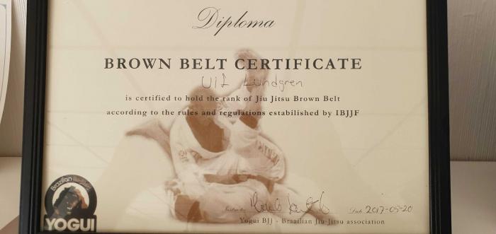 Brown belt · May 20, 2017 · Promoted by Marcelo Galvao Santiago (Marcelo Yogui)