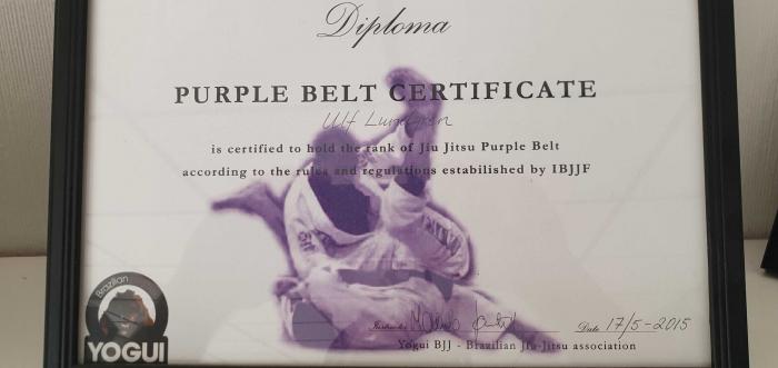 Purple belt · May 17, 2015 · Promoted by Marcelo Galvao Santiago (Marcelo Yogui)