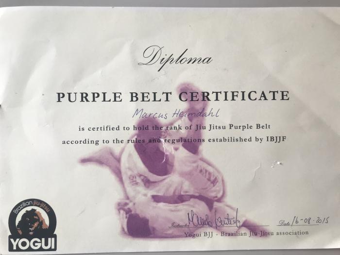 Purple belt · August 16, 2015 · Promoted by Marcelo Yogui