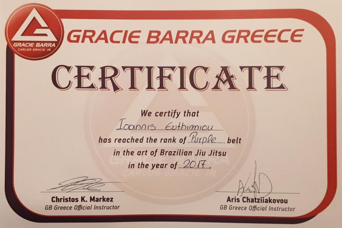 Purple belt · October 15, 2017 · Promoted by Ioannis Nektarios Hatziiakovou