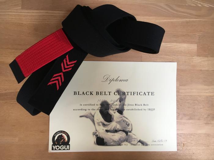 Black belt · June 10, 2017 · Promoted by Marcelo Galvao Santiago Yogui