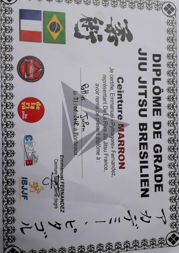 Brown belt · June 21, 2018 · Promoted by Emmanuel Fernandez