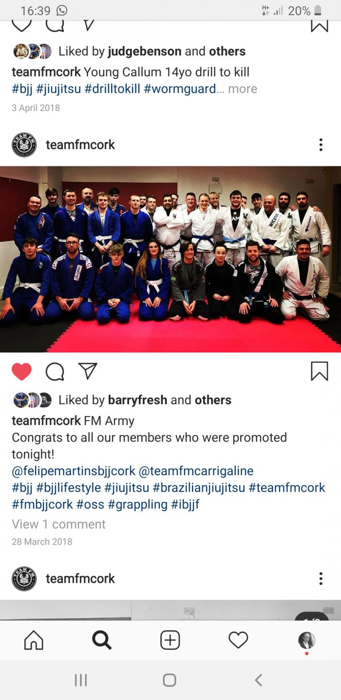 Blue belt · April 5, 2018 · Promoted by Luis Felipe Martins