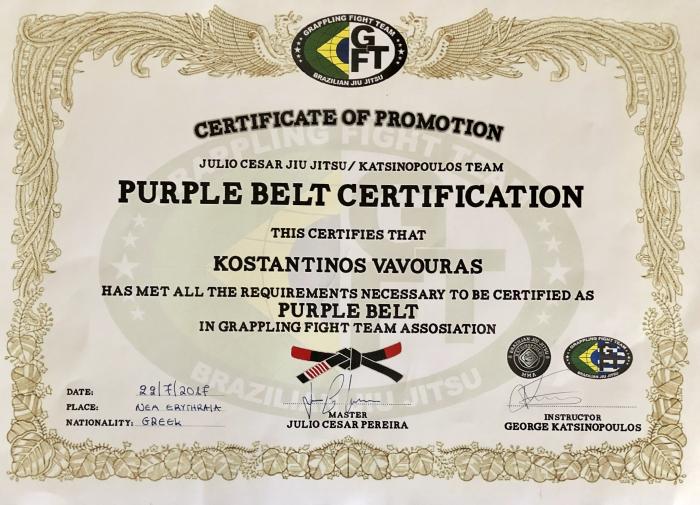 Purple belt · August 22, 2017 · Promoted by Katsinopoulos/Julio Cesar pereira