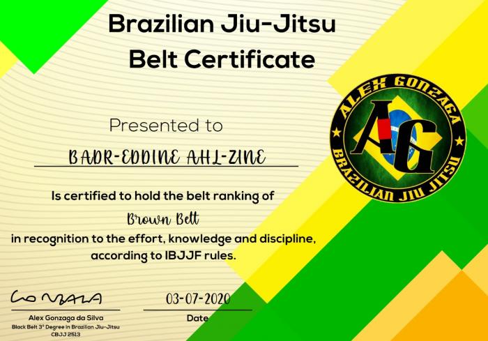 Brown belt · July 3, 2020 · Promoted by Alex Gonzaga