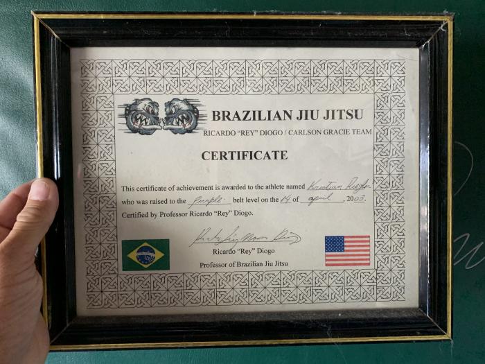 Purple belt · April 14, 2003 · Promoted by Rey Diogo