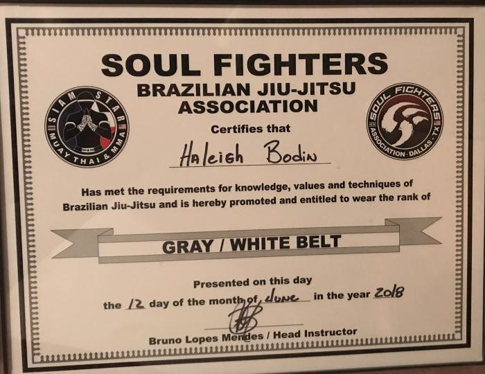 Gray belt · June 12, 2018 · Promoted by Bruno Lopes Mendes