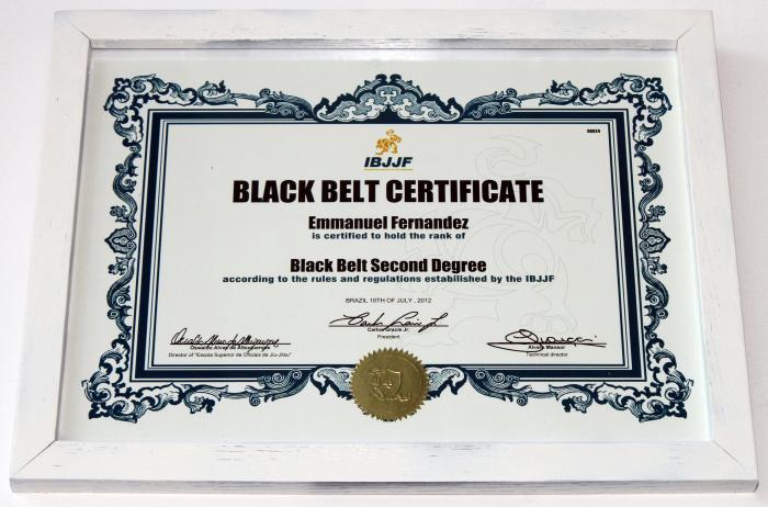 Black belt 2nd degree · July 10, 2012 · Promoted by Ricardo De La Riva