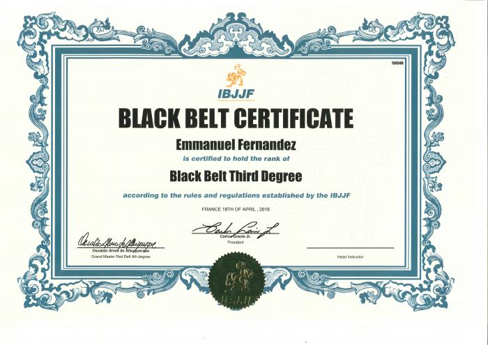 Black belt 3rd degree · April 18, 2016 · Promoted by Ricardo De La Riva