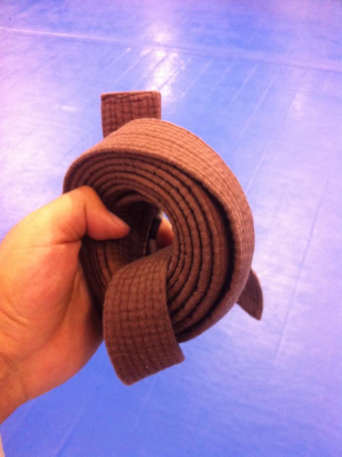 Brown belt · May 2, 2012 · Promoted by Rodrigo Lopes