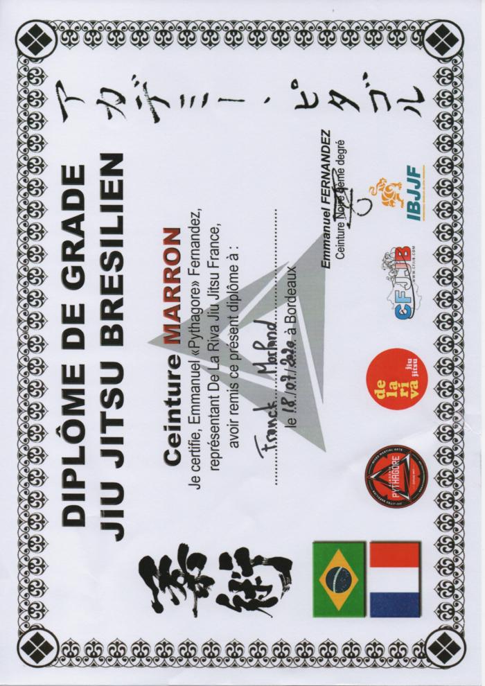 Brown belt · July 18, 2020 · Promoted by Emmanuel Fernandez