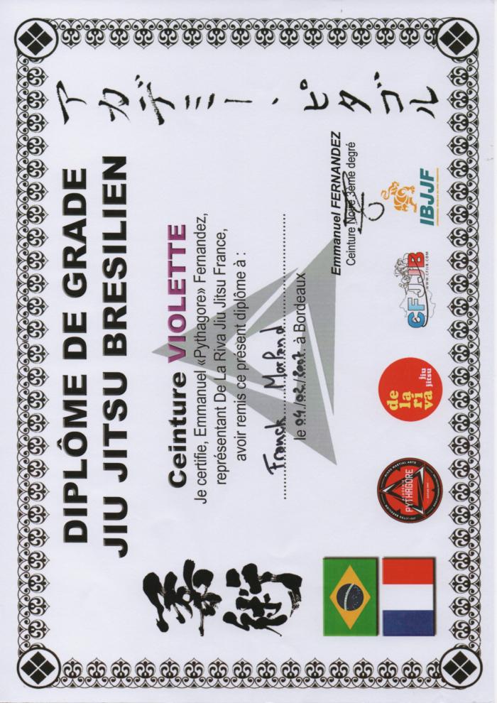 Purple belt · February 4, 2007 · Promoted by Emmanuel Fernandez