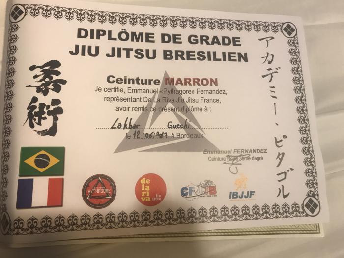 Brown belt · June 1, 2017 · Promoted by Emmanuel FERNANDEZ