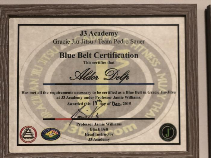 Blue belt · December 19, 2015 · Promoted by Jamie Williams